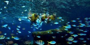 World’s largest oceanarium to open in Singapore