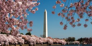 Washington DC is the best city to visit in 2015