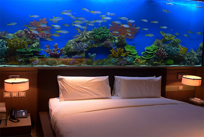 Aquarium walls are all the rage now according to 2017 luxury home trends and add to complete relaxation in addition to the home spa experience.