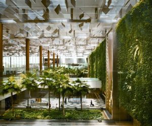 vertical garden and green wall at singapore airport