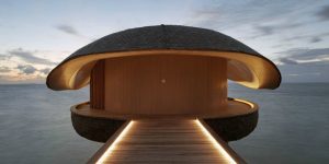 Whale-shaped bar in Maldives Won the International Design Awards